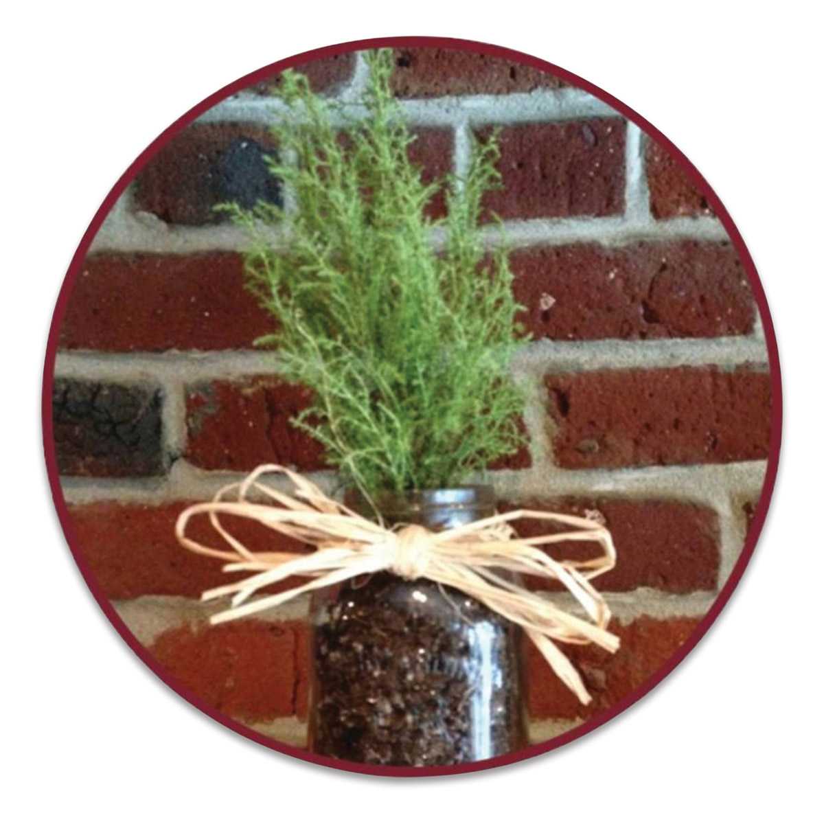 Craft Decor Raffia (Shown on planter)
