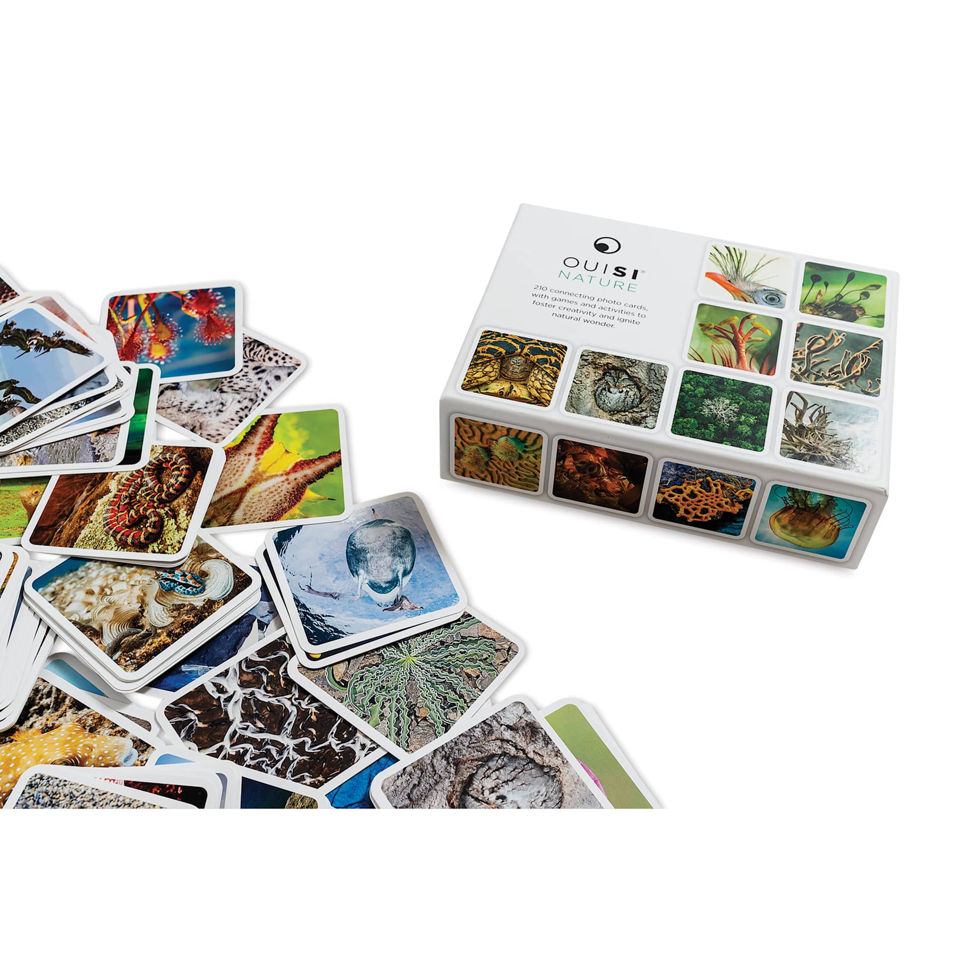 Ouisi Card Set - Nature