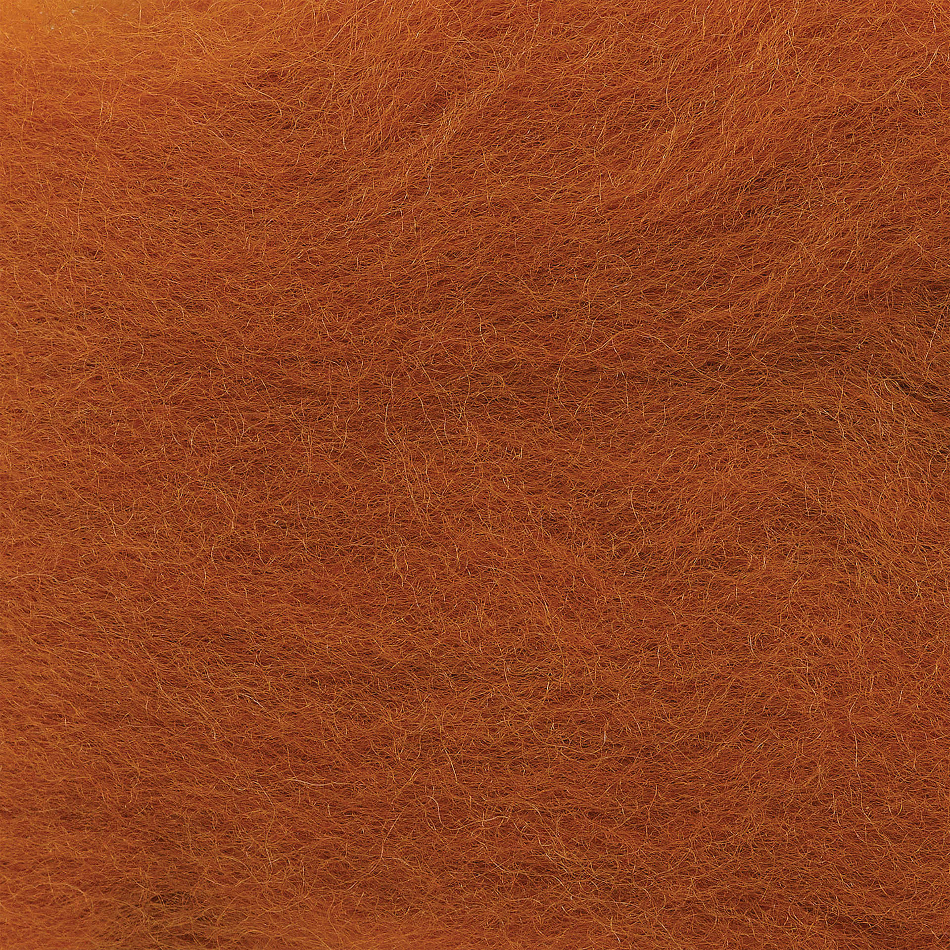 Wistyria Editions 100% Wool Roving - Toffee, 14" - close-up