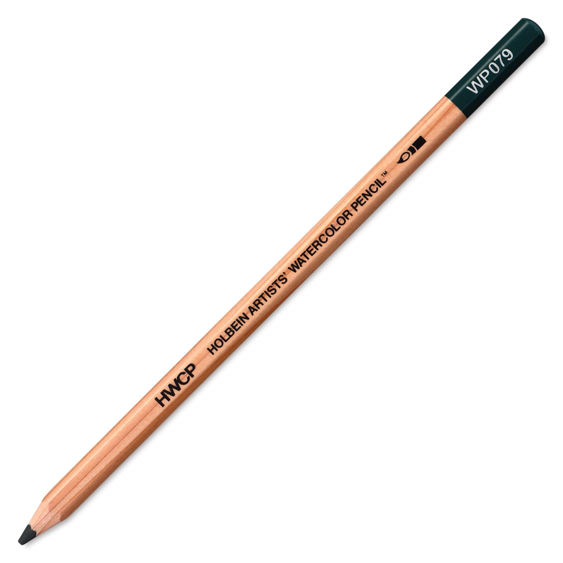 Holbein Artists' Watercolor Pencil - Shadow Green, 079