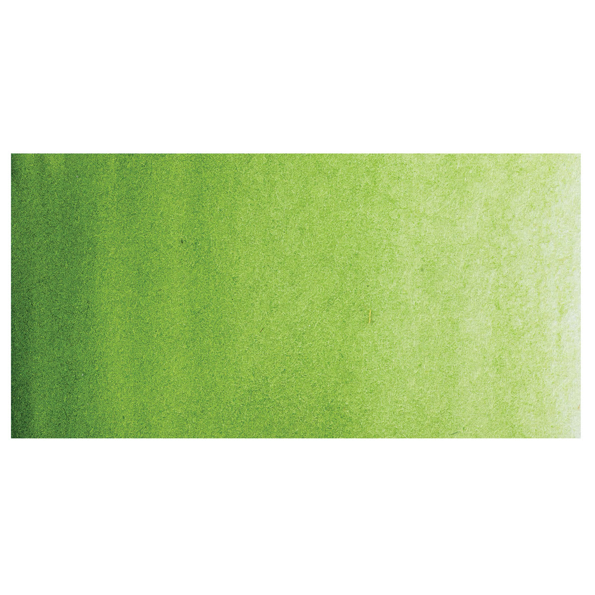 PWC Extra Fine Professional Watercolor - Sap Green, 15 ml, Swatch
