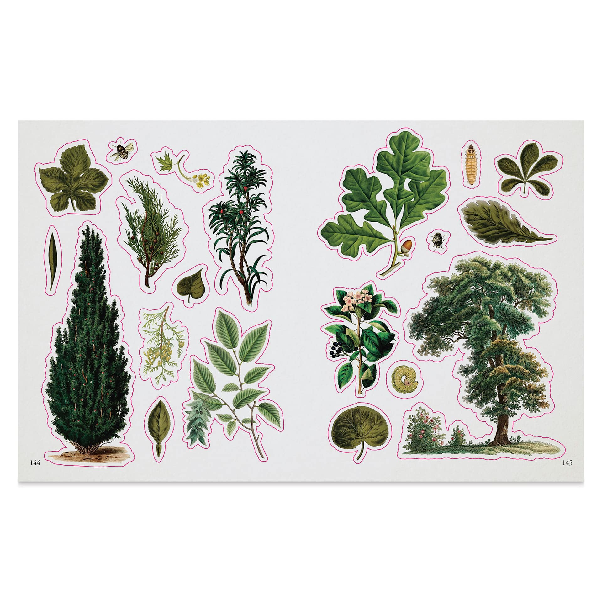 The Botanist's Sticker Anthology (shades of green spread)