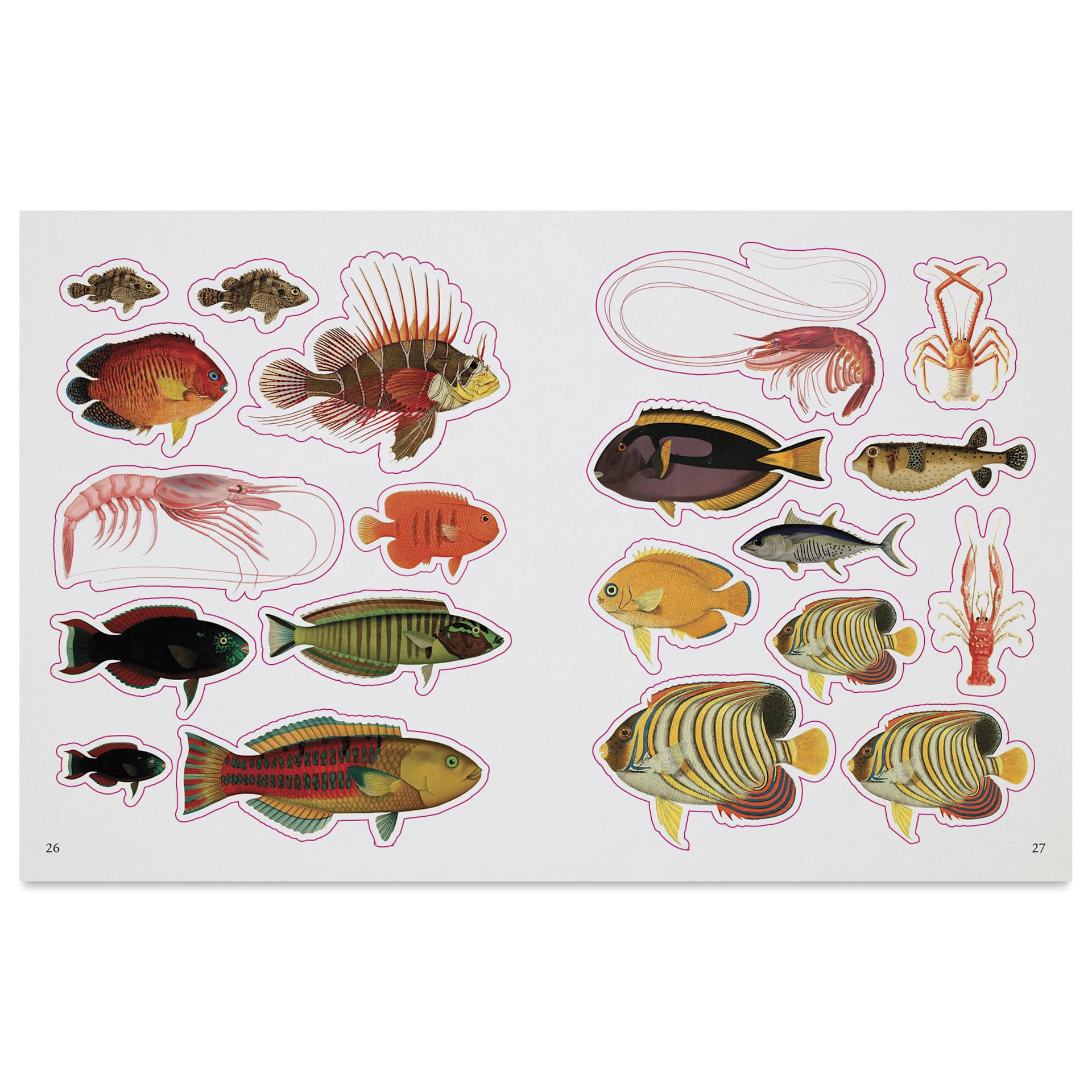The Seashore Sticker Anthology, open