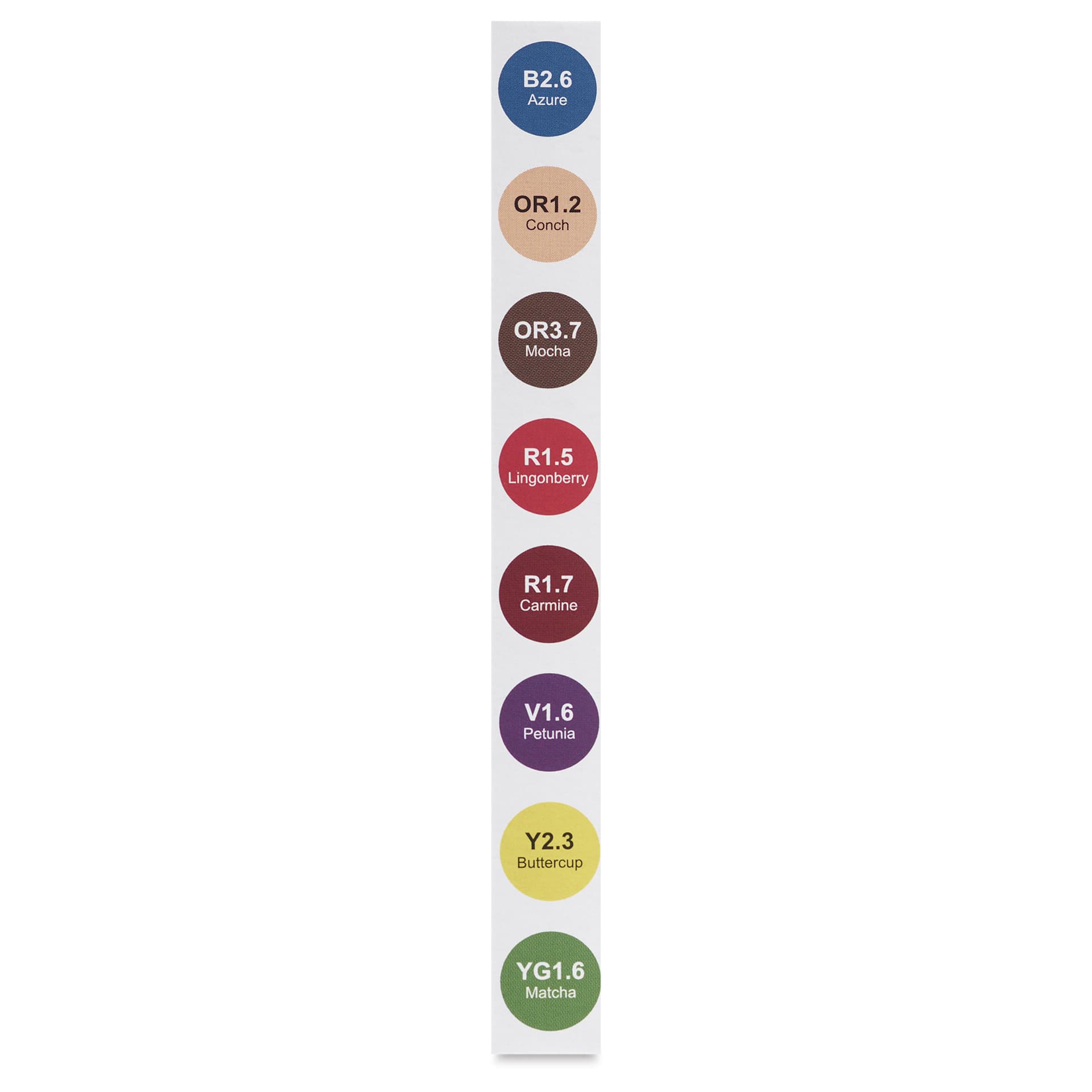 Olo Chisel Dual-Tip Markers - Set of 8, Comic colors with codes