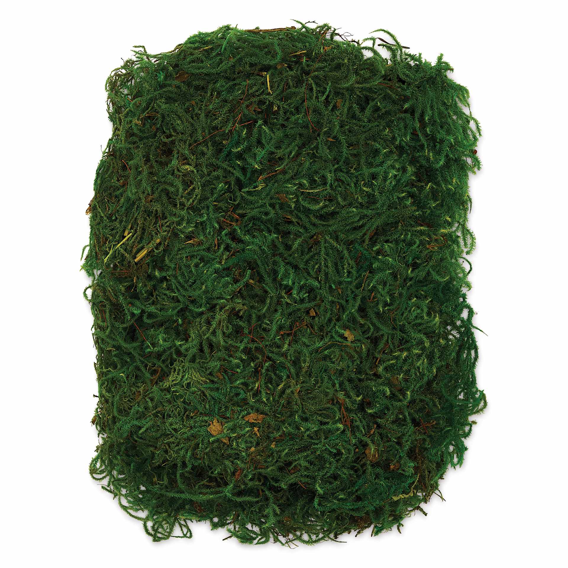 SuperMoss Preserved Forest Moss | BLICK Art Materials