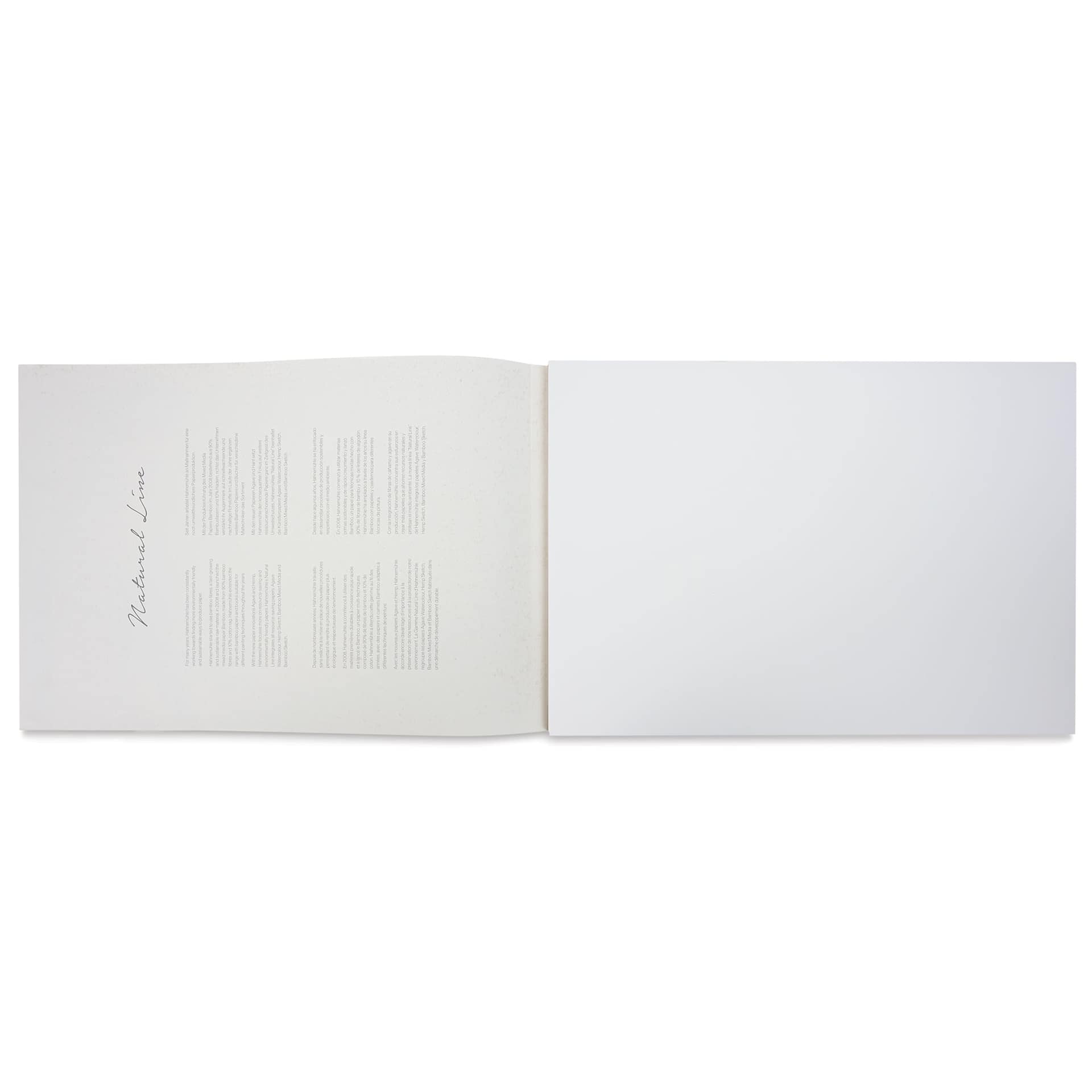Hahnemühle Hemp Sketch Pad - 11.7" x 16.5", 80 Sheets open