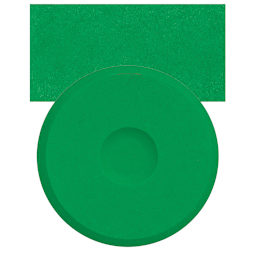 Blick Tempera Cake - Green cake and swatch