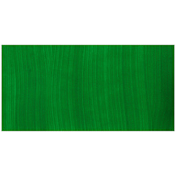 Crayola Washable Paint - Green swatch