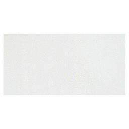 Blick Premium Grade Tempera Paint - White swatch