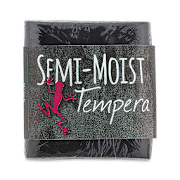 Richeson Semi-Moist Tempera Cake - Black