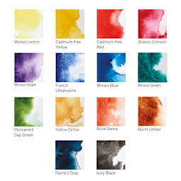 Winsor & Newton Professional Watercolor - Set of 14 Field Pocket Set, Assorted, swatches