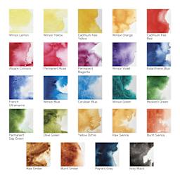Winsor & Newton Professional Watercolor - Set of 24 Complete Travel Tin, Assorted - color chart