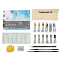 Winsor & Newton Professional Watercolor - Set of 12, Studio Case set contents