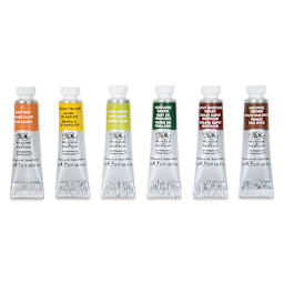 Winsor & Newton Professional Watercolor - Set of 6, Rich Earth