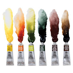 Winsor & Newton Professional Watercolor - Set of 6, Rich Earth, 5 ml