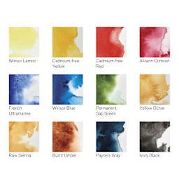 Winsor & Newton Professional Watercolor - Set of 12 Customizable Travel Tin, Assorted - color chart