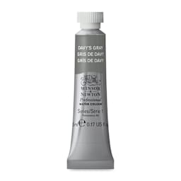 Winsor & Newton Professional Watercolor - Davy's Gray, 5 ml Tube
