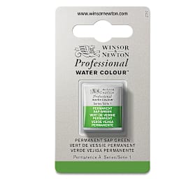 Winsor & Newton Professional Watercolor - Permanent Sap Green, Half Pan
