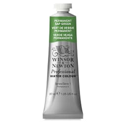 Winsor & Newton Professional Watercolor - Permanent Sap Green, 37 ml Tube