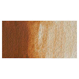 Winsor & Newton Professional Watercolor - Brown Ochre swatch