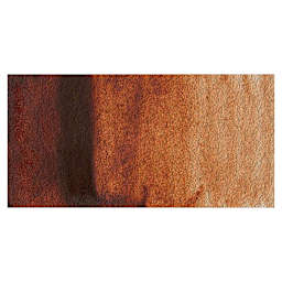 Winsor & Newton Professional Watercolor - Burnt Sienna swatch
