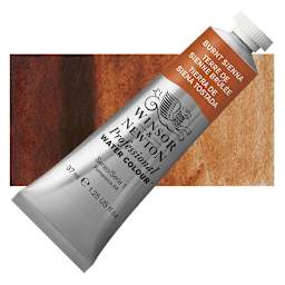 Winsor & Newton Professional Watercolor - Burnt Sienna, 37 ml Tube and swatch