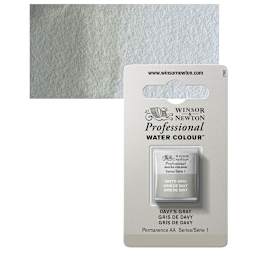 Winsor & Newton Professional Watercolor - Davy's Gray, Half Pan and swatch