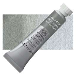 Winsor & Newton Professional Watercolor - Davy's Gray, 5 ml Tube and swatch