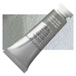 Winsor & Newton Professional Watercolor - Davy's Gray, 14 ml Tube and swatch