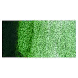 Winsor & Newton Professional Watercolor - Hooker's Green swatch