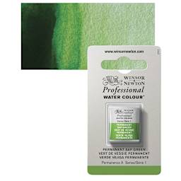 Winsor & Newton Professional Watercolor - Permanent Sap Green, Half Pan and swatch
