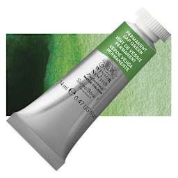 Winsor & Newton Professional Watercolor - Permanent Sap Green, 14 ml tube and swatch