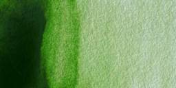 Winsor & Newton Professional Watercolor - Permanent Sap Green swatch