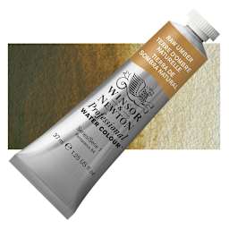 Winsor & Newton Professional Watercolor - Raw Umber, 37 ml Tube and swatch