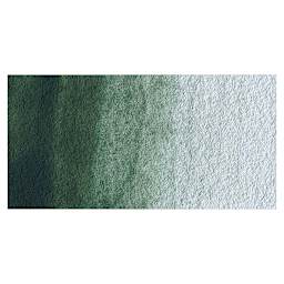 Winsor & Newton Professional Watercolor - Terre Verte swatch