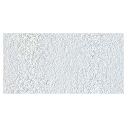 Winsor & Newton Professional Watercolor - Titanium White swatch