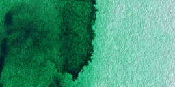 Winsor & Newton Professional Watercolor - Winsor Green (Yellow Shade) swatch