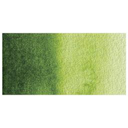 Holbein Artists' Watercolor - Sap Green swatch