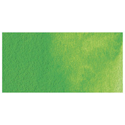 Holbein Artists' Watercolor - Permanent Green 1 swatch