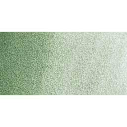 Schmincke Horadam Aquarell Artist Watercolor - Forest Green swatch
