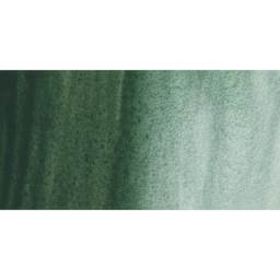 Schmincke Horadam Aquarell Artist Watercolor - Urban Green swatch