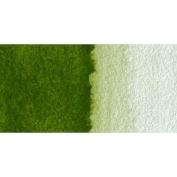 Schmincke Horadam Aquarell Watercolor - Olive Green Yellowish swatch