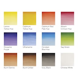 Winsor & Newton Cotman Watercolors - Set of 12, Assorted Colors, 8 ml Tubes, swatches