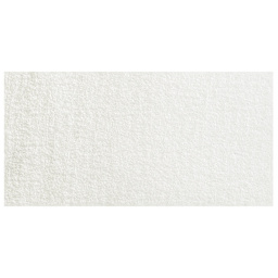 Winsor & Newton Cotman Watercolor - Iridescent White swatch
