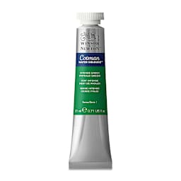 Winsor & Newton Cotman Watercolor - Intense Phthalo Green, 21 ml tube