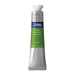 Winsor & Newton Cotman Watercolor - Sap Green, 21 ml tube