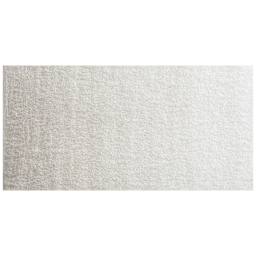 Winsor & Newton Cotman Watercolor - Silver swatch