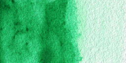 Winsor & Newton Cotman Watercolor - Intense Green swatch