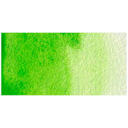 Van Gogh Watercolor Half Pan - Permanent Yellowish Green swatch