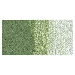 Grumbacher Academy Watercolor - Chromium Oxide Green swatch